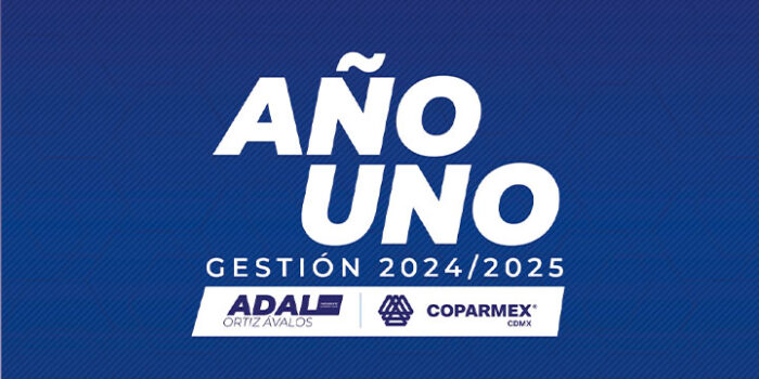 anio-uno